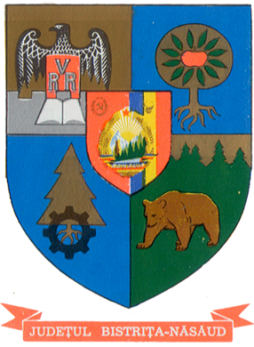 File:RSR Jud Bistrita-Nasaud.png