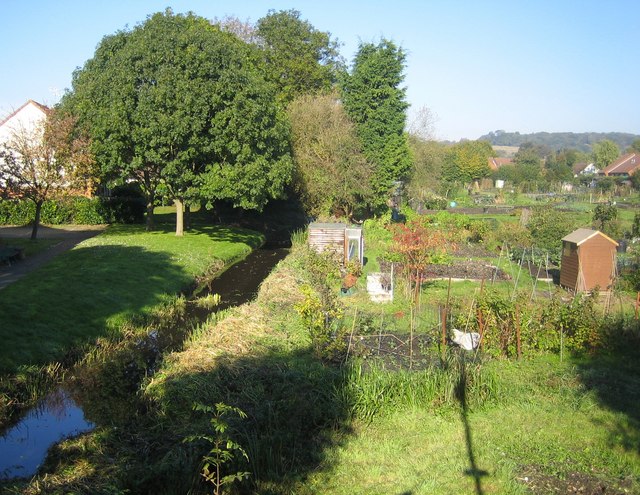 File:River Bulbourne in Northchurch - geograph.org.uk - 591476.jpg