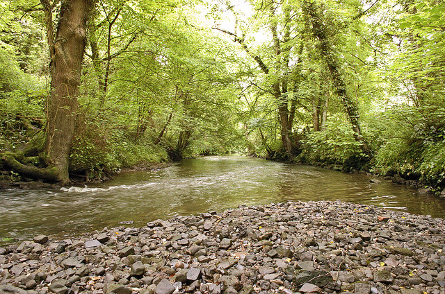 File:River Churnet at Oakamoor - geograph.org.uk - 1325079.jpg