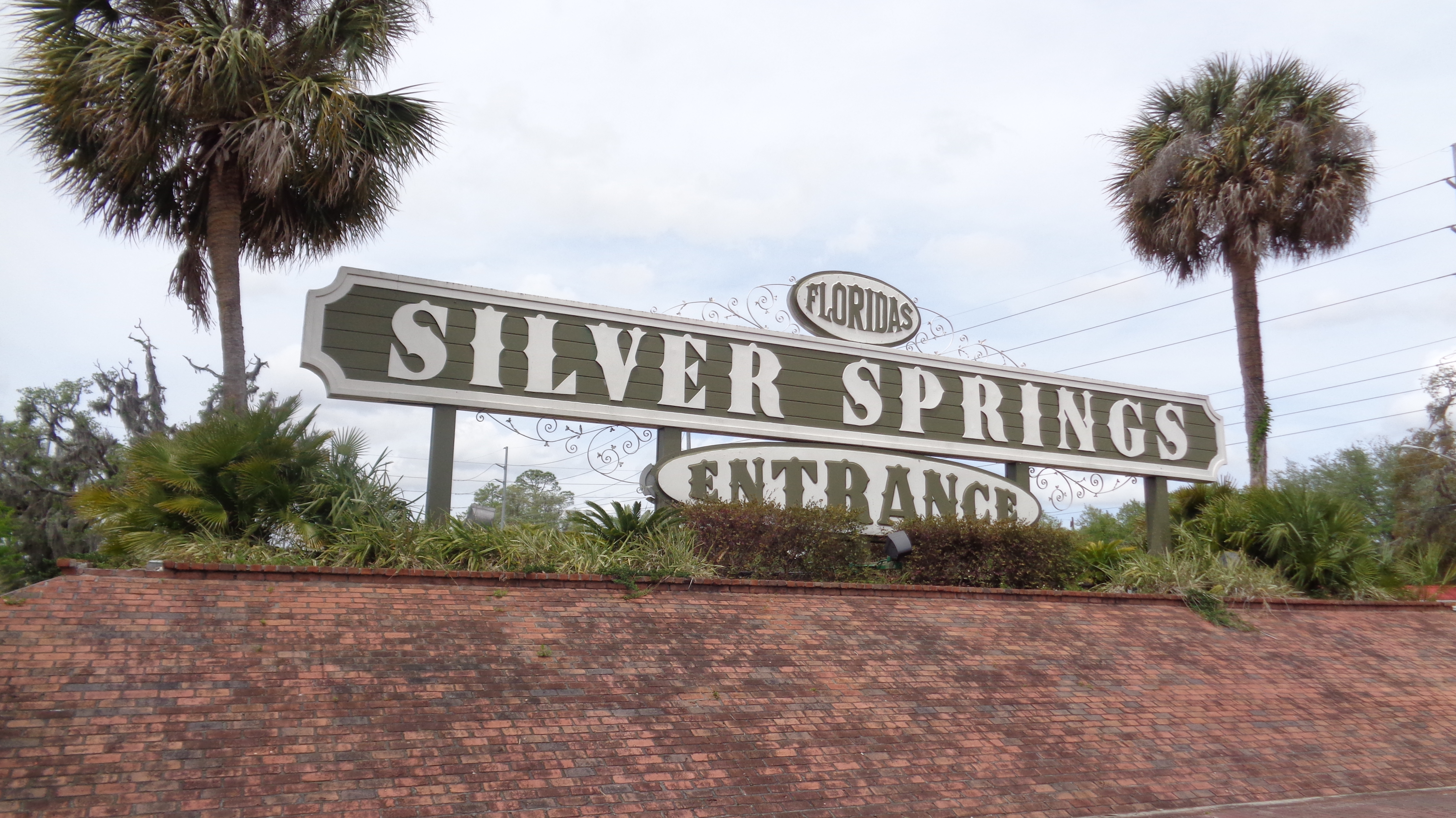 Silver Springs State Park Admission Fee
