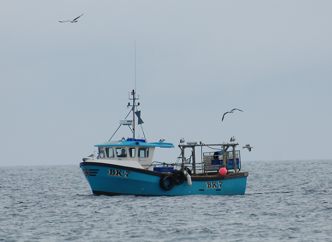 Everything to Know About Fishing Vessels - Martide