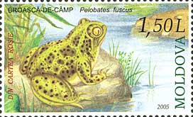 File:Stamp of Moldova md526.jpg