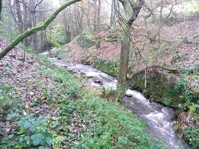 File:The River Ribble above Swan Bank, Cartworth (Holmfirth) - geograph.org.uk - 1603376.jpg