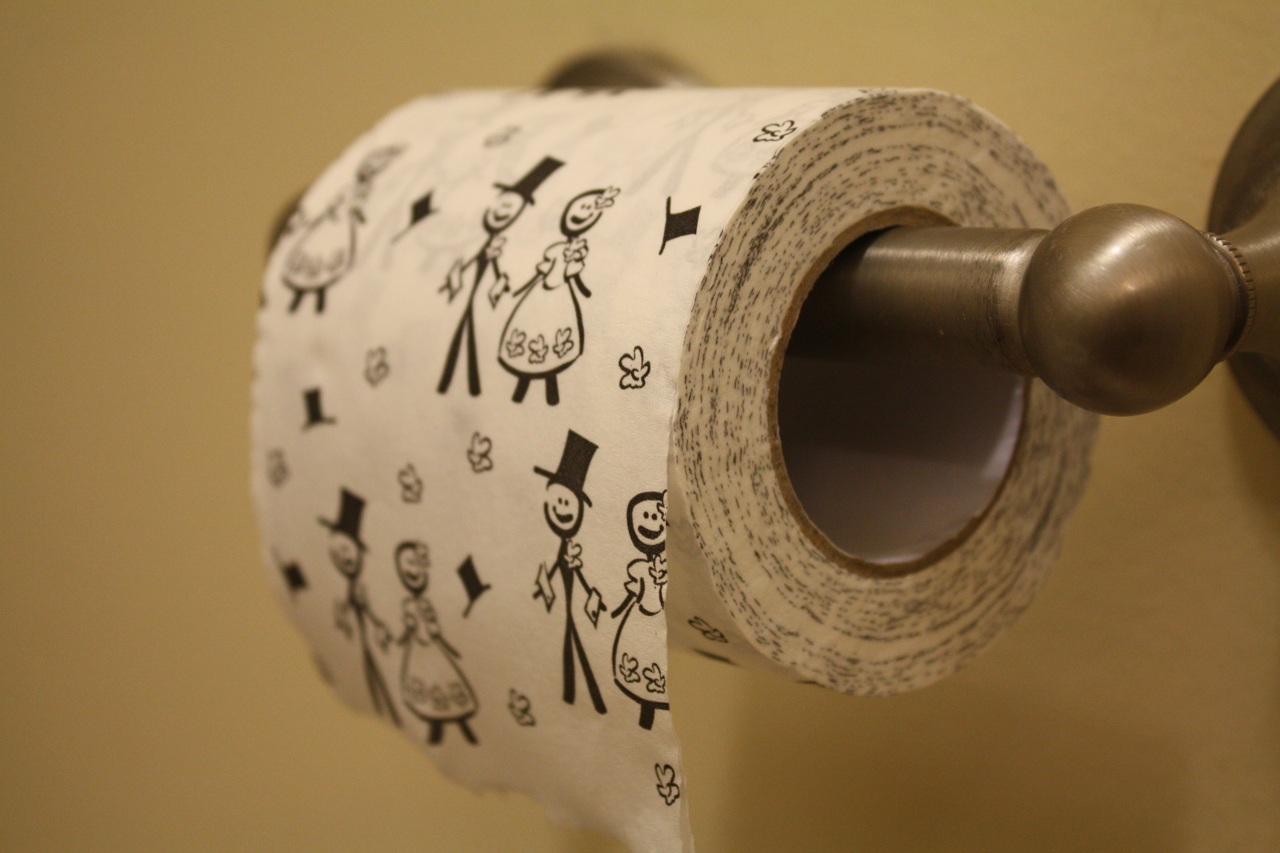 Японская туалетная бумага. Туалетная бумага. Кошка и туалетная бумага. Дом в туалетной бумаге. Броская туалетная бумага.