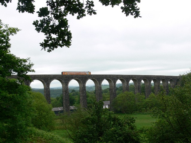 Train on Cynghordy Viaduct, Heart of Wales line - geograph.org.uk - 470902