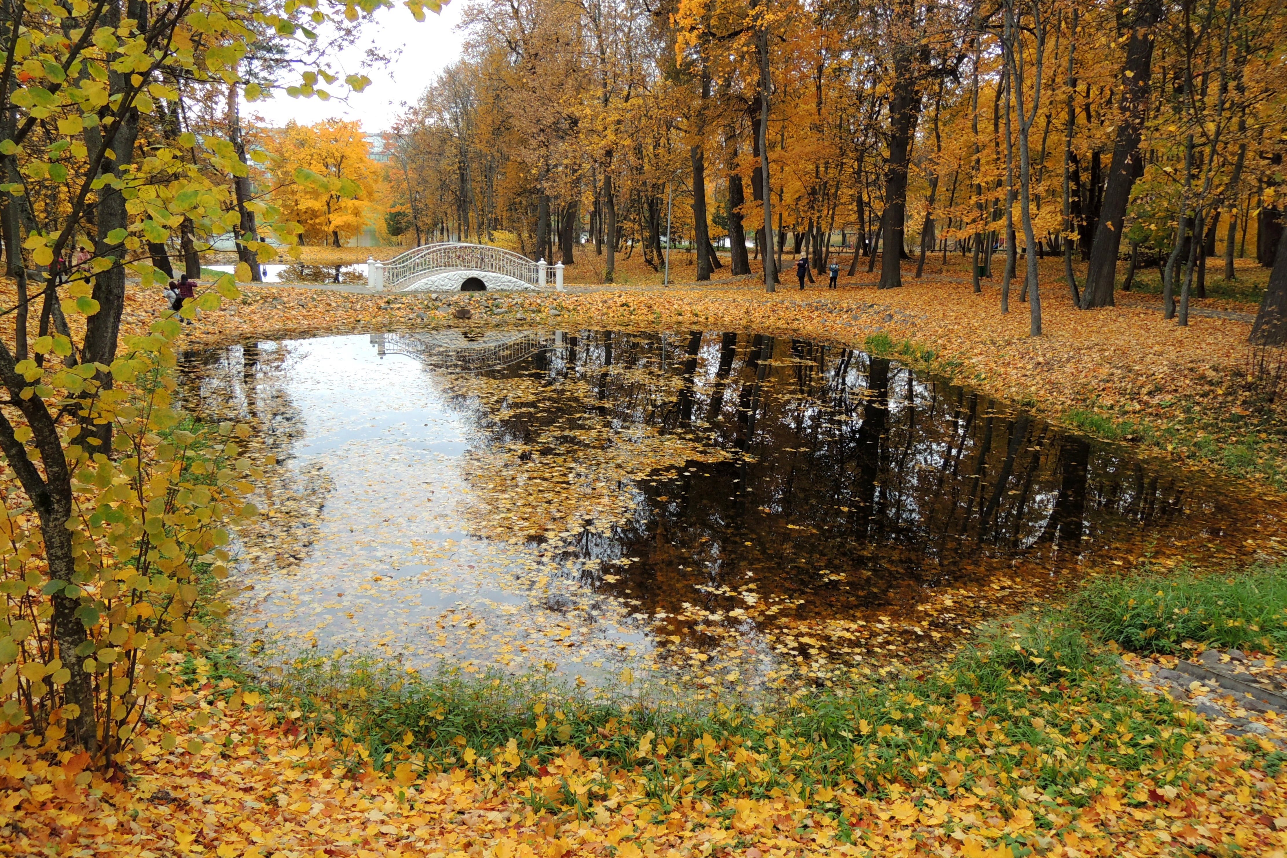 Парк белкино в обнинске