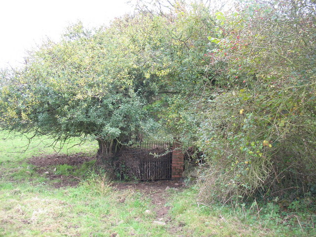 File:A view back to the blocked gate - geograph.org.uk - 275604.jpg