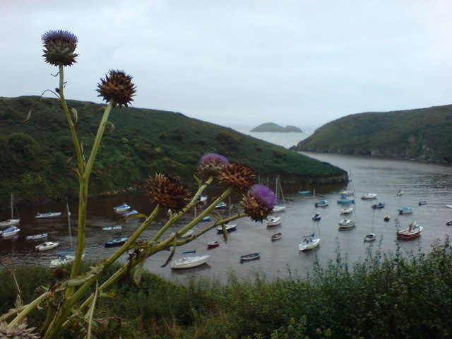 File:Bobbing about on the water - geograph.org.uk - 929113.jpg