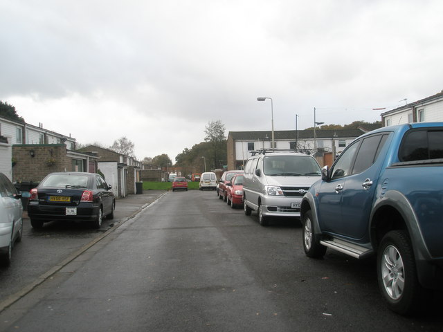 File:Bunting Gardens - geograph.org.uk - 1596552.jpg