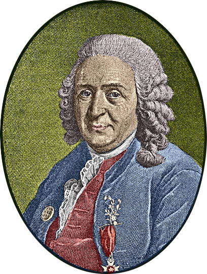 File:Carolus-Linnaeus.png