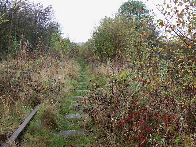 File:Disused Railway, Stockton Brook, Staffordshire - geograph.org.uk - 598440.jpg