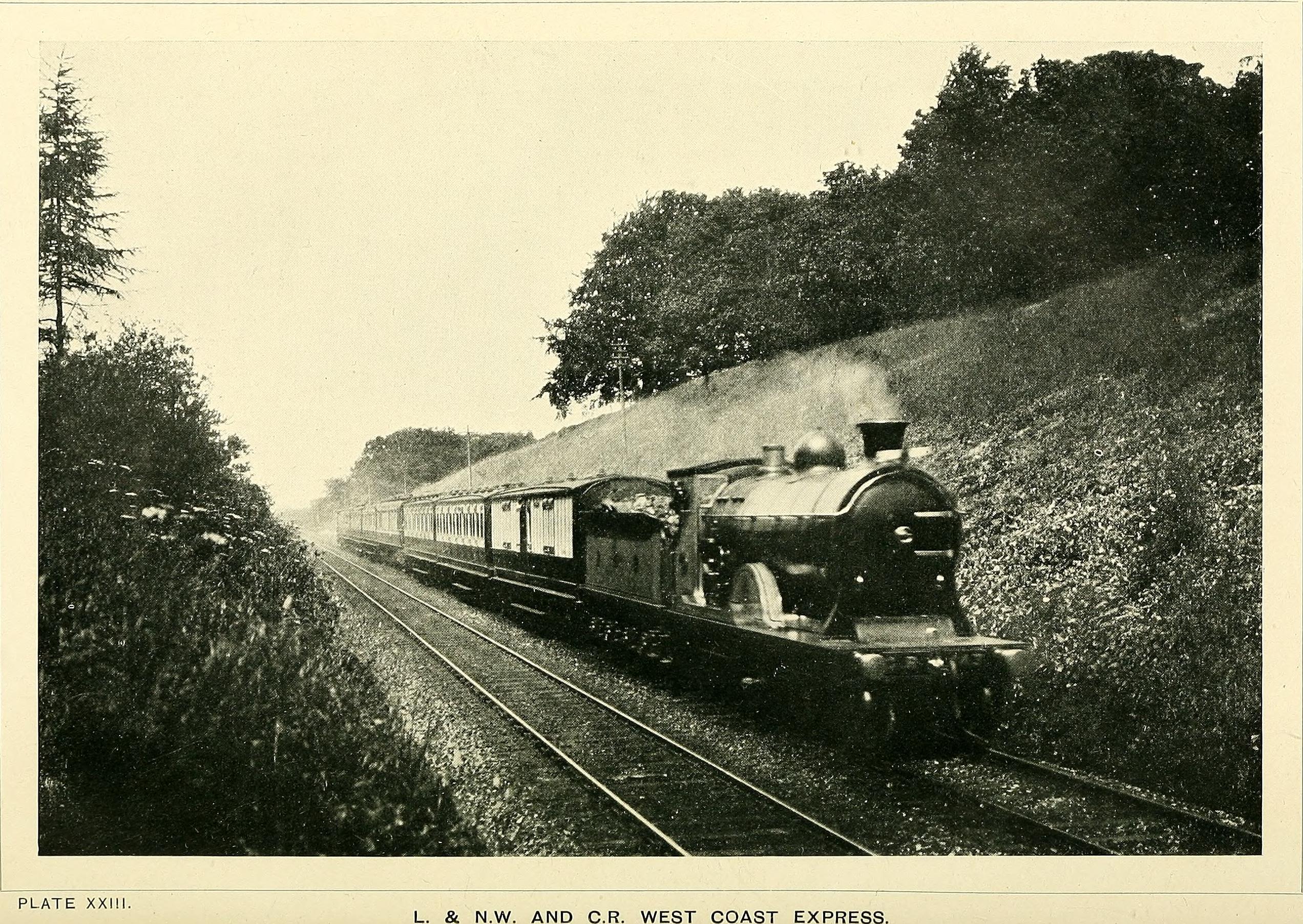 Passenger steam railway фото 23