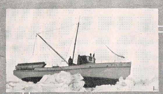 File:FMIB 44929 Gas s St Peter, Bering Sea Packing Co, near Walrus Island--Amid the Bering Sea Ice Floes- One of the Grave Dangers Encountered.jpeg