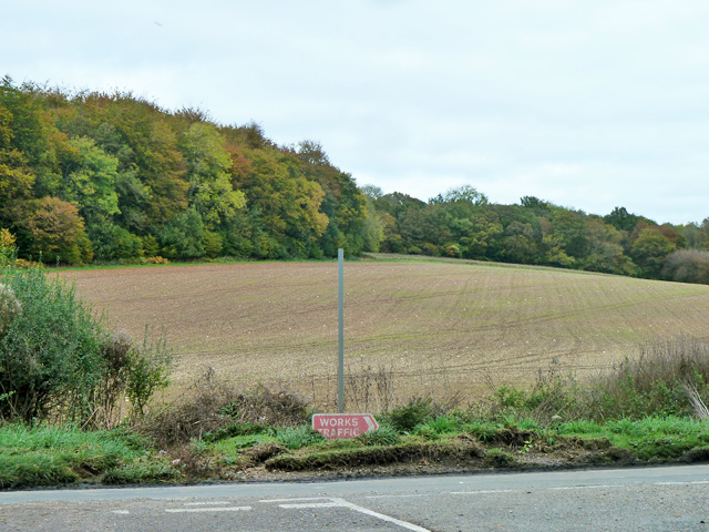 Sidley Wood