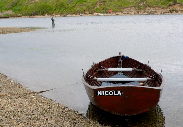 File:Fishing in the Fleet - geograph.org.uk - 1297653.jpg