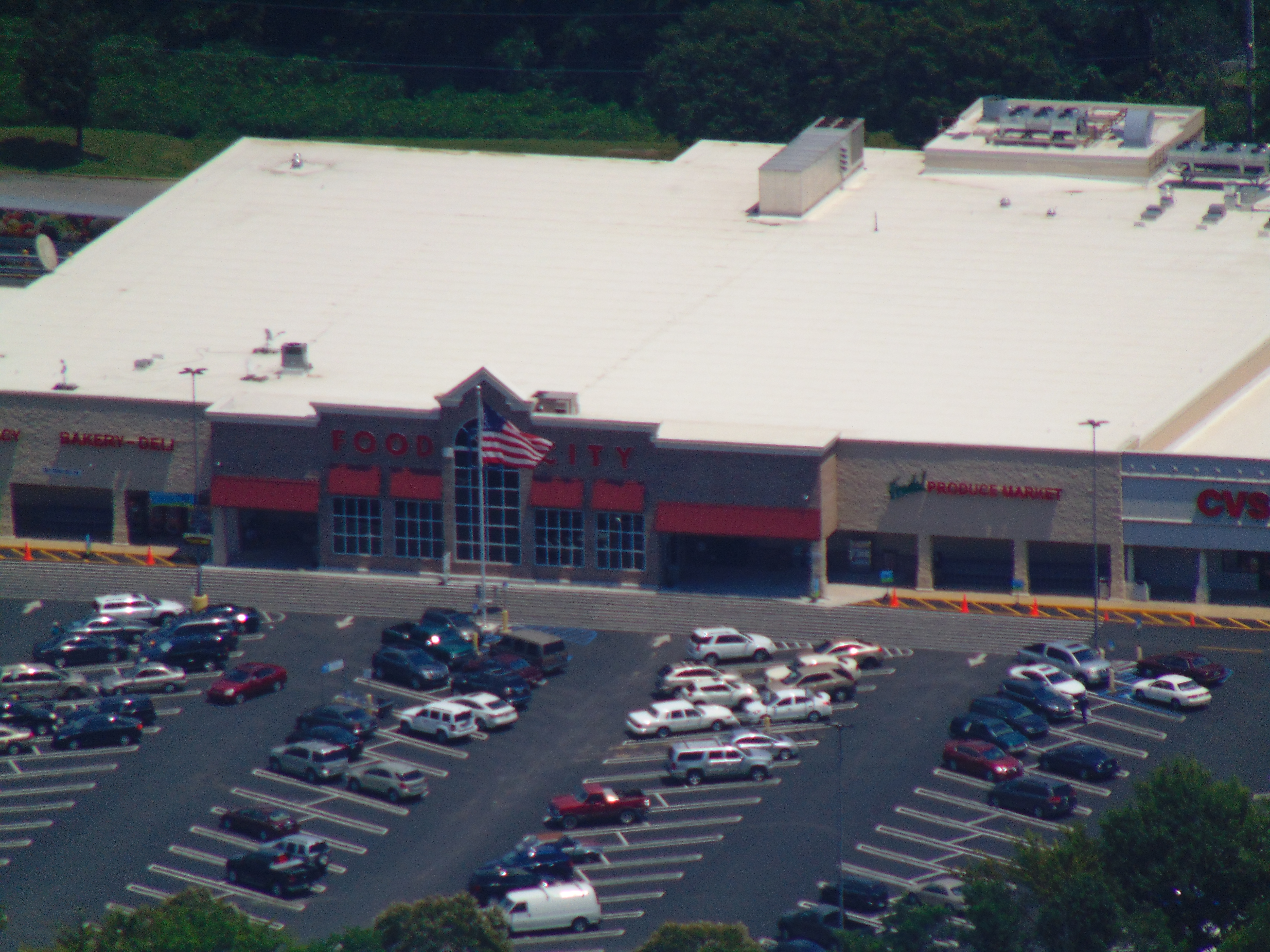 File:Food City, Chattanooga, TN.jpg - Wikimedia Commons