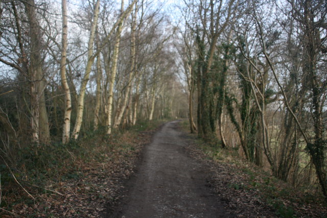 File:Forest Way - geograph.org.uk - 1700893.jpg