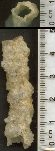 File:Fulgurite.JPG