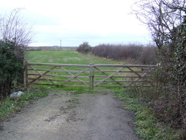 File:Gate and Field - geograph.org.uk - 307508.jpg