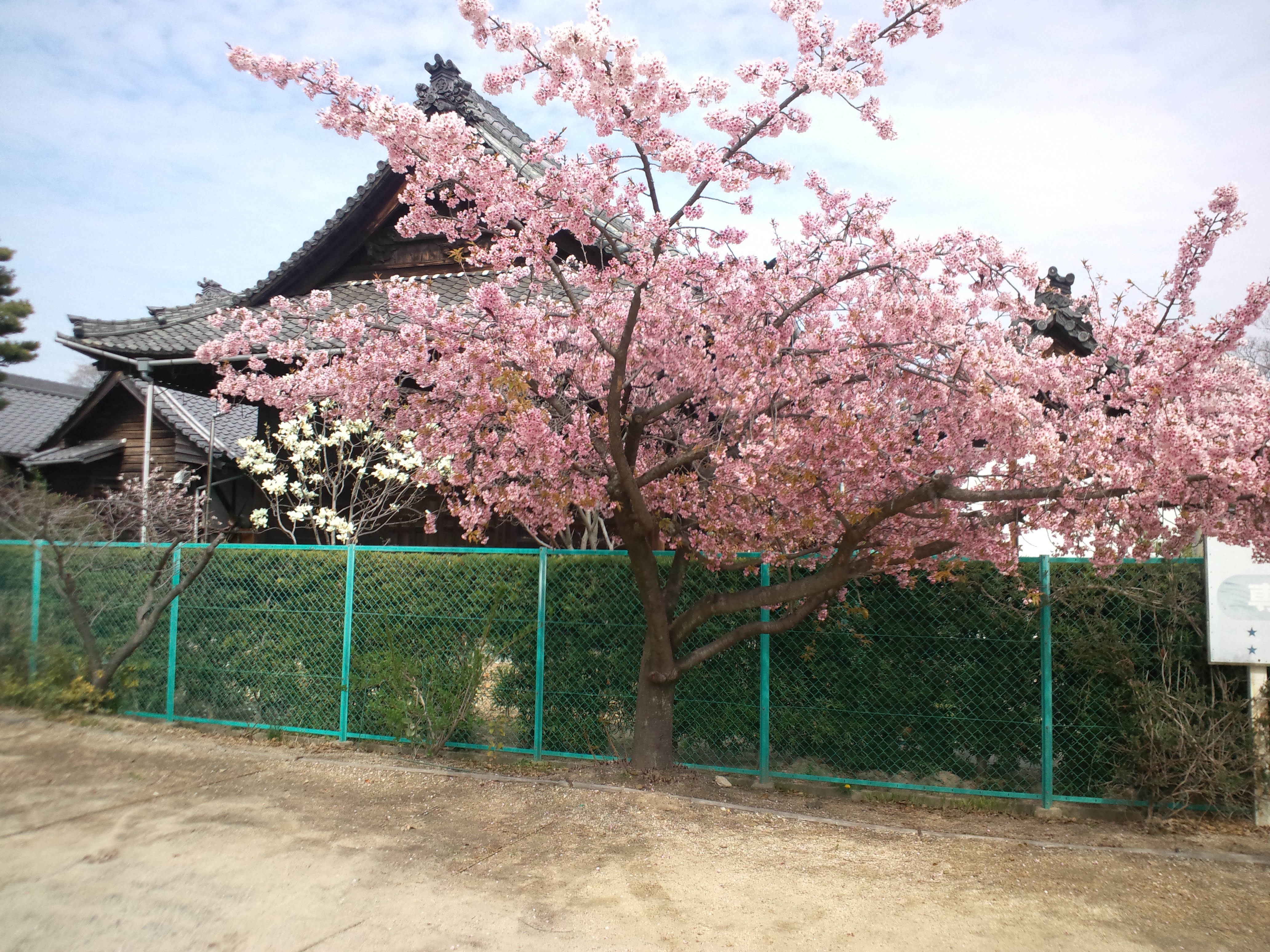 Horyu Ji Temple