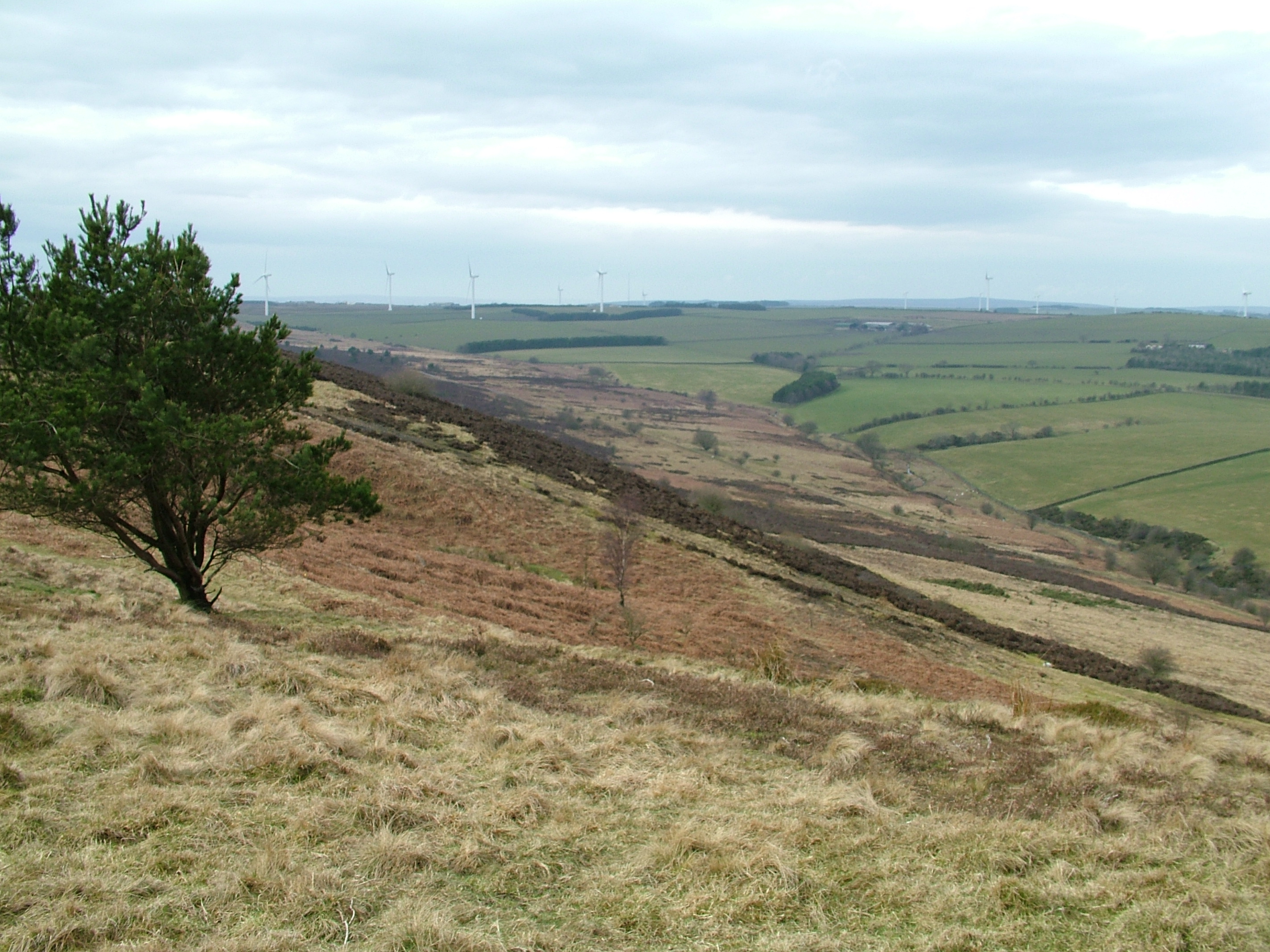 Hedleyhope Fell