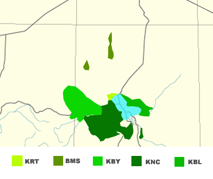 Kanuri () is a Saharan dialect continuum of the Nilo–Saharan language family spoken by the Kanuri and Kanembu peoples in Nigeria, Niger, Chad and Cameroon, as well as by their nomadic and diasporic offshoot communities in southern Libya and western Sudan.