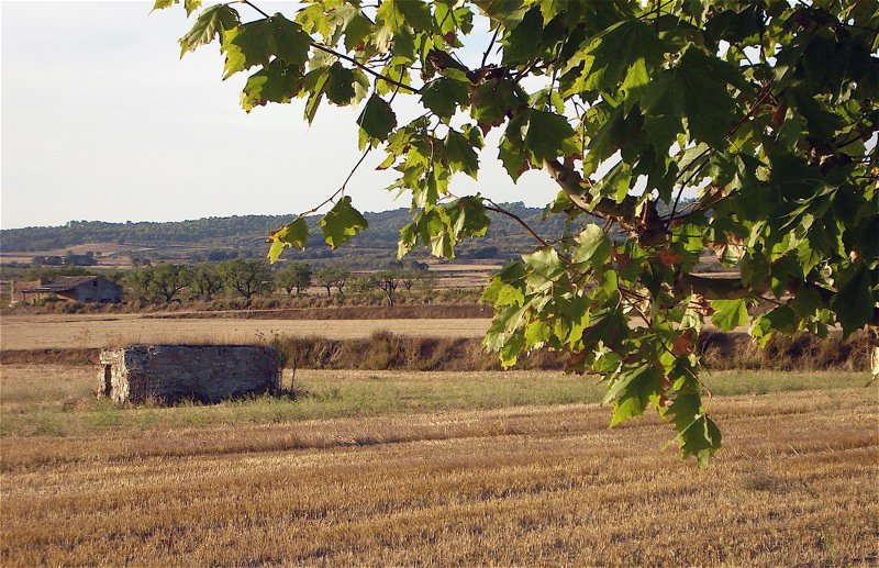 File:La Llitera, cerca de Alcampell (Huesca).jpg
