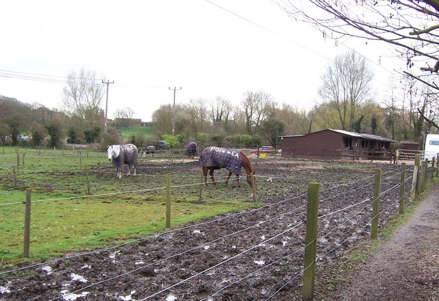 File:Muddy Paddock-Titchfield - geograph.org.uk - 727809.jpg