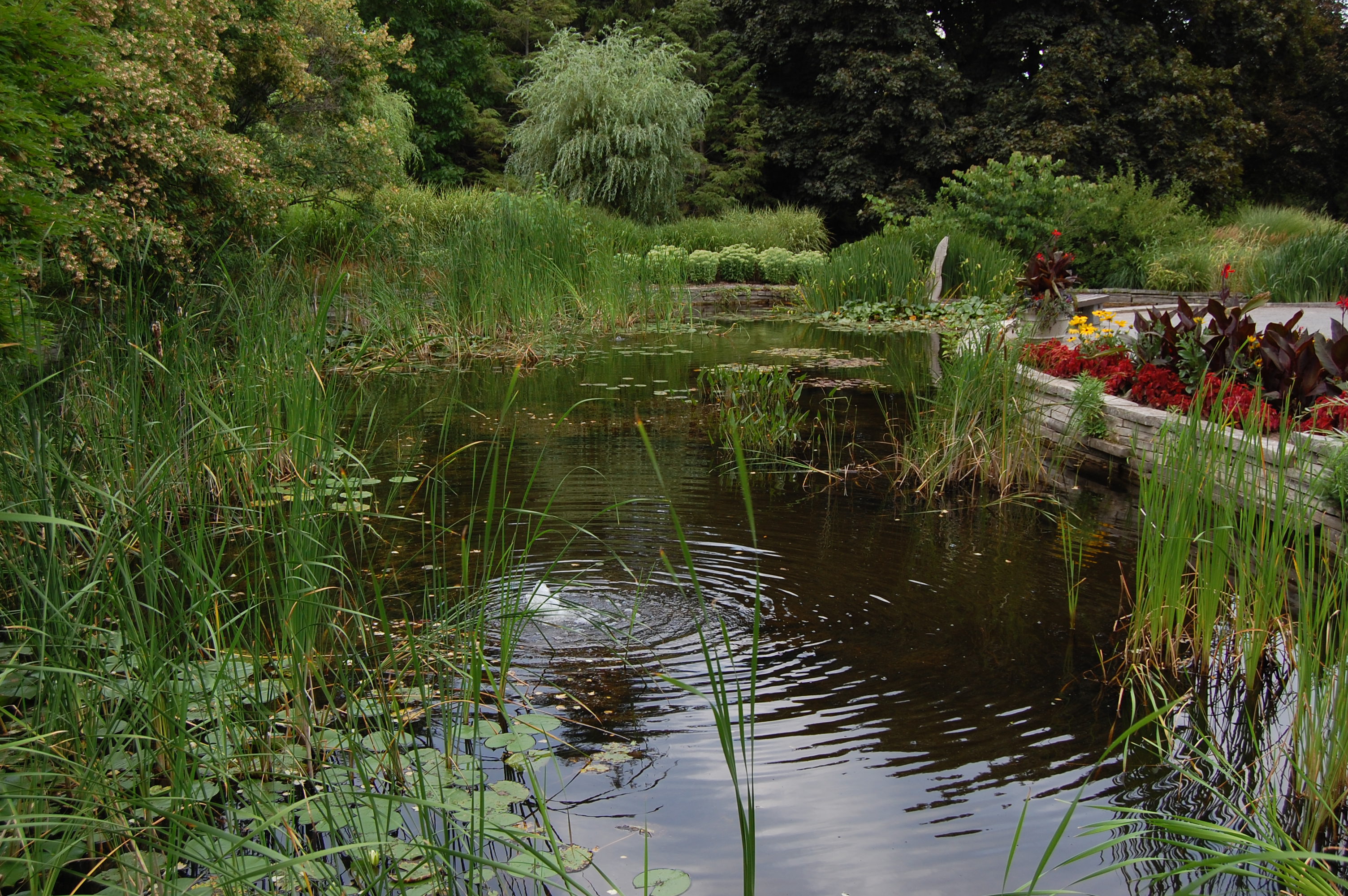 Image result for garden pond, ontario