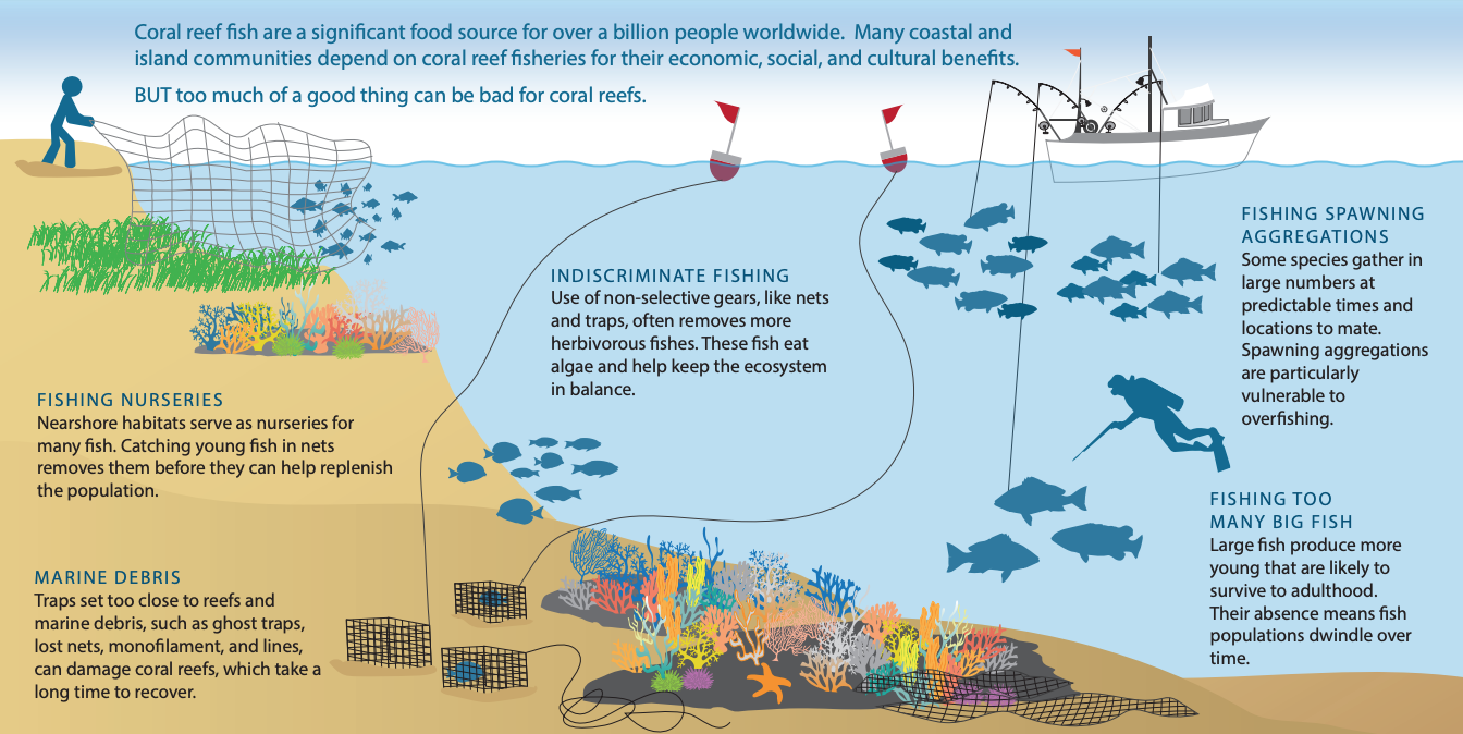 File:Overfishing threats to coral reefs.png - Wikimedia Commons