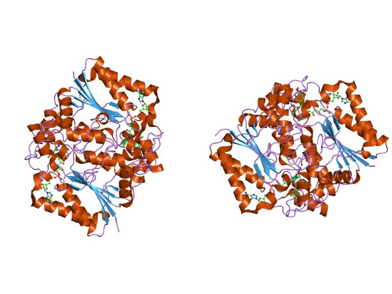 File:PDB 1kbq EBI.jpg