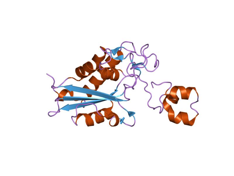 File:PDB 1rc9 EBI.jpg