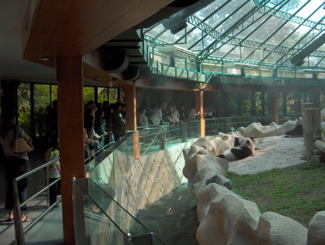 File:Panda enclosure at Chiang Mai zoo-KayEss-2.jpeg