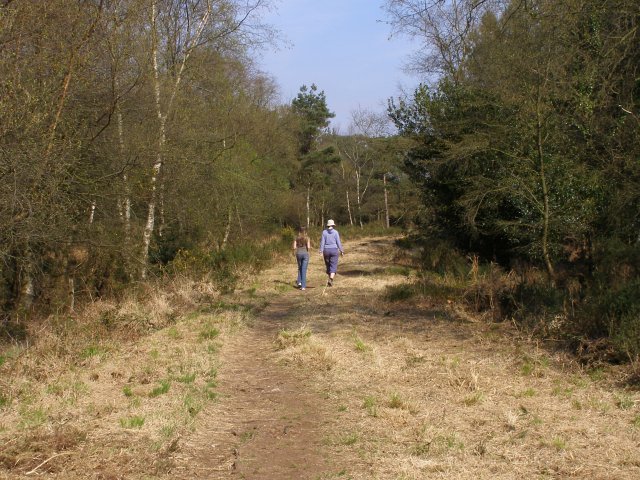 File:Permissive path on the Roman Road, Bhompston Heath - geograph.org.uk - 398035.jpg