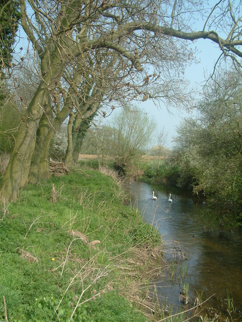 River Mease