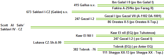 File:Saklavi IV-CZ.gif