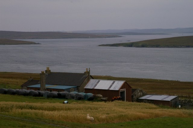 File:Setter, Yell - geograph.org.uk - 572949.jpg