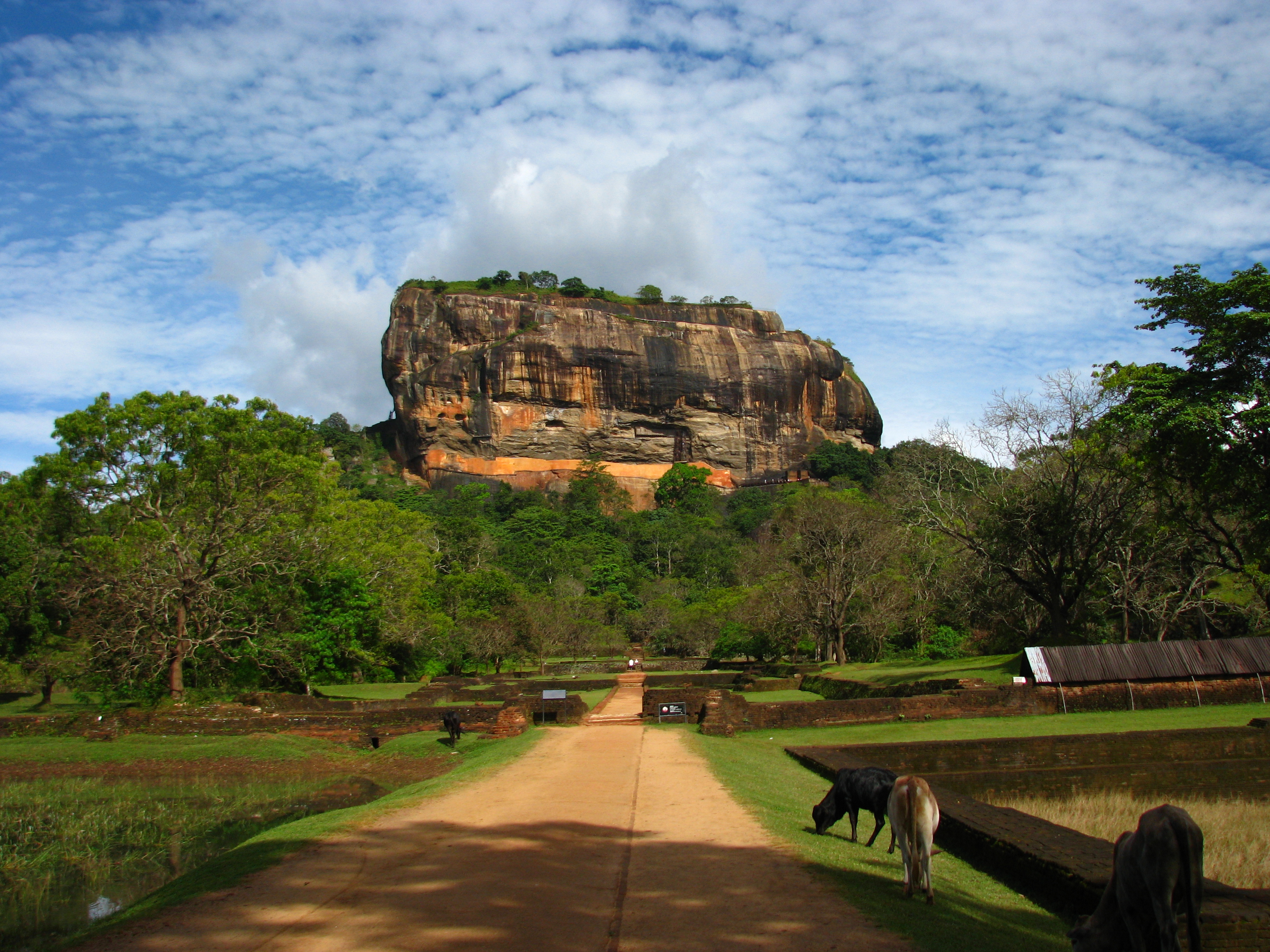 Шри ланка sri lanka. Сигирия Шри-Ланка. Сигирия Шри-Ланка львиная крепость. Гора Сигирия в Шри-Ланке. Скала Сигирия.