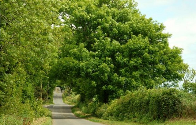 File:The Ballyquintin Road near Portaferry - geograph.org.uk - 837796.jpg