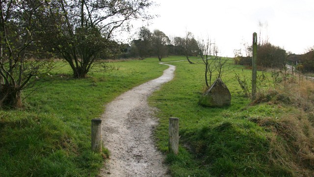 File:Tibshelf Common - geograph.org.uk - 635412.jpg