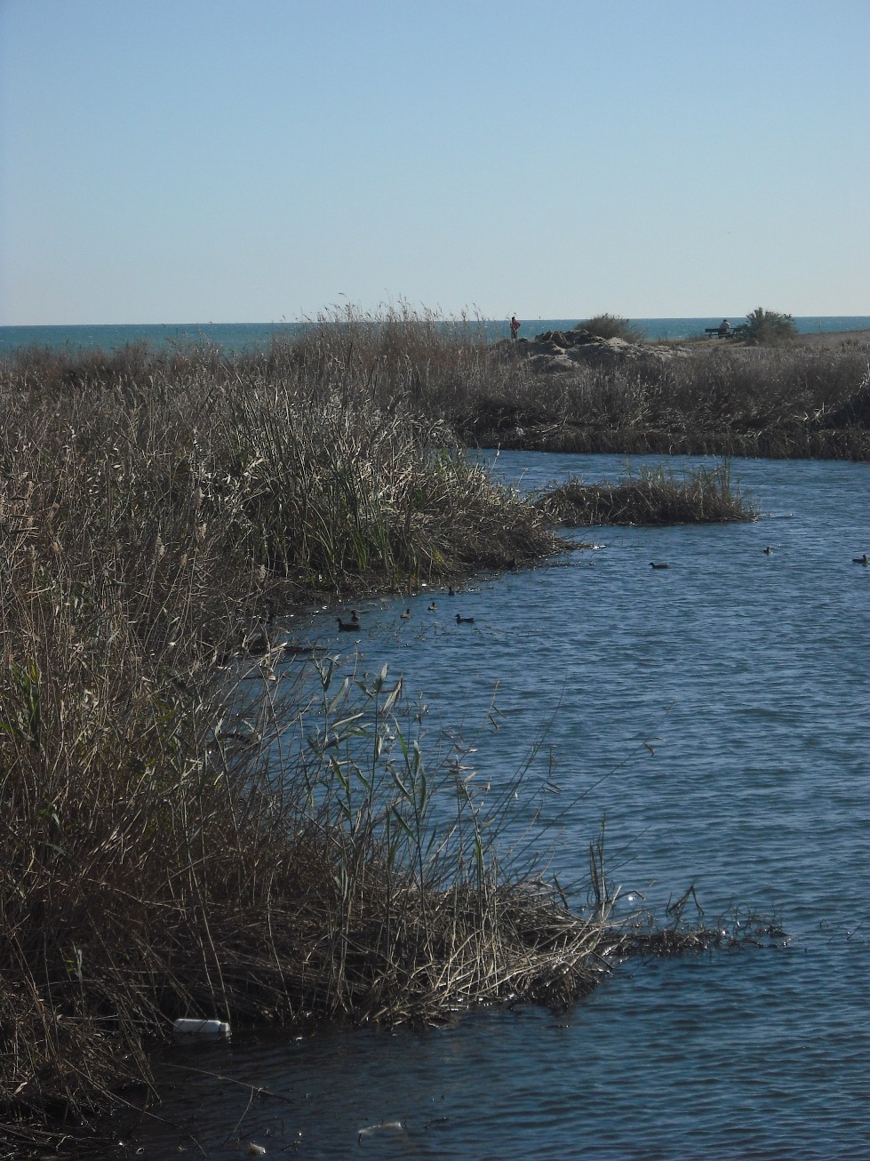 Alboraya._Desembocadura_del_Carraixet