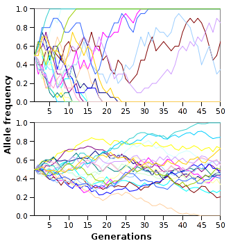 Alelei-frequency.png