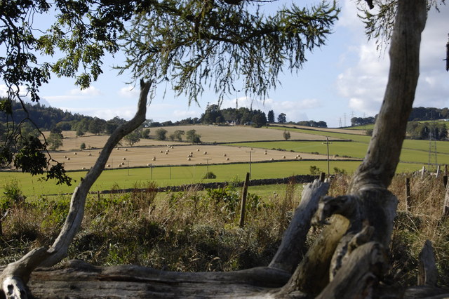 File:Autumn Scene - geograph.org.uk - 1519746.jpg