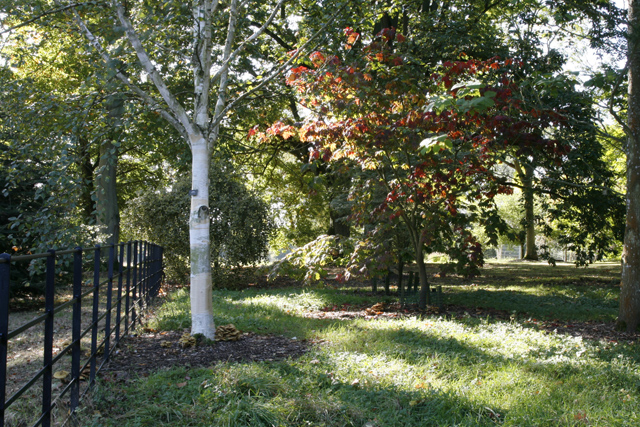 Batsford Arboretum in Autumn - geograph.org.uk - 1527766