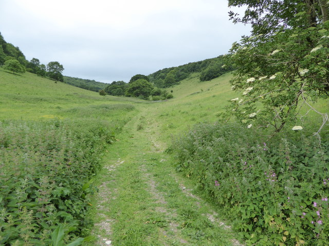 File:Bridleway through Heath Bottom - geograph.org.uk - 4527002.jpg