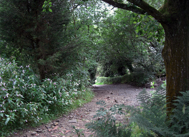 File:Bridleway to Irwell Vale (2) - geograph.org.uk - 954545.jpg