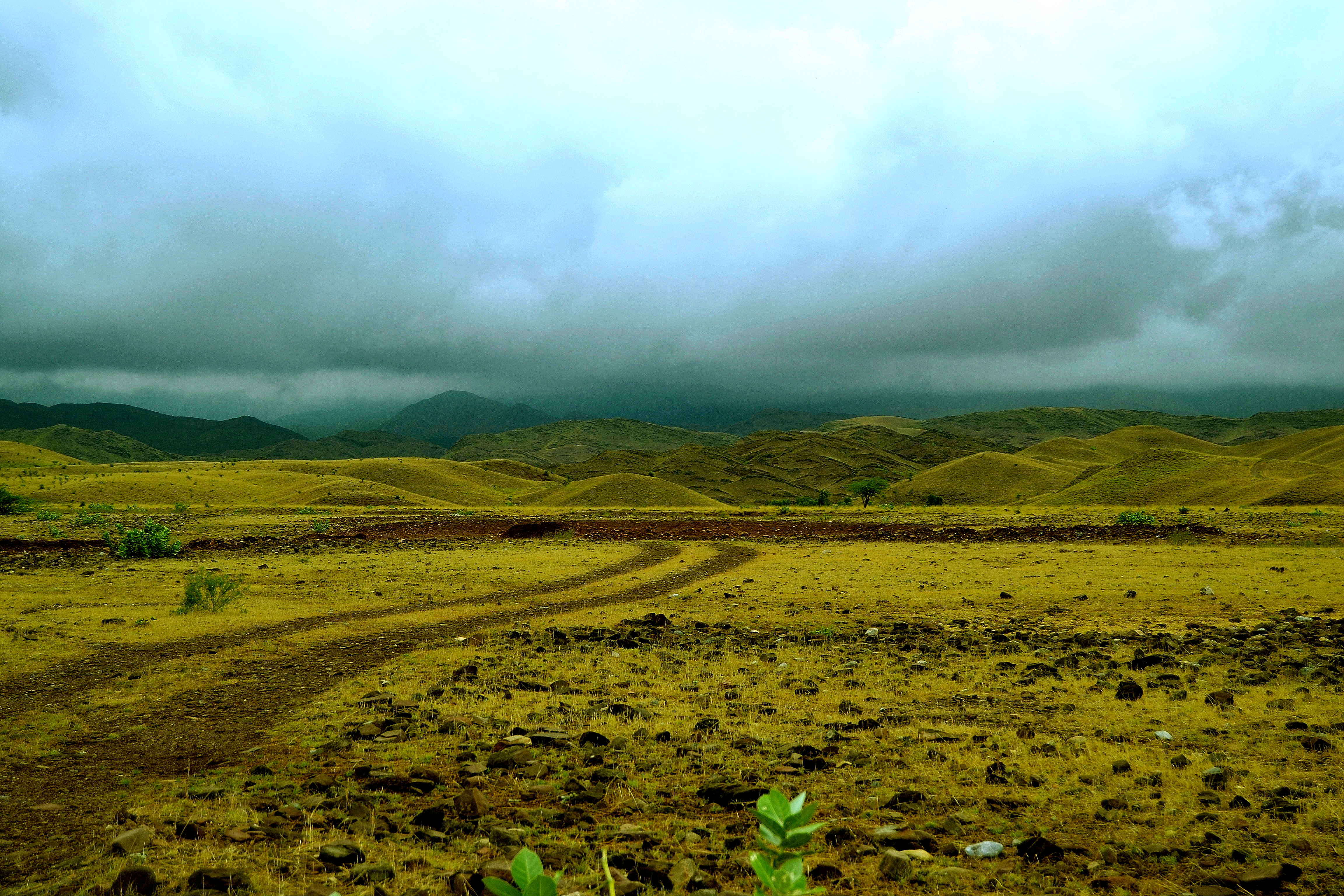 Brown lands