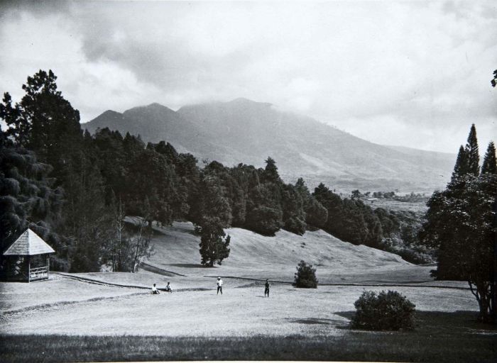 File:COLLECTIE TROPENMUSEUM Bergtuin Tjibodas TMnr 60019055.jpg