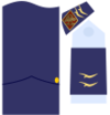 File:Captain general of the Air Force 15ab.png