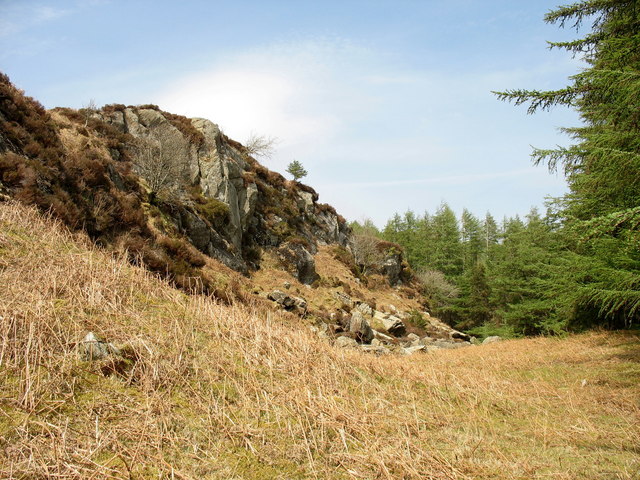 File:Crag and forest - geograph.org.uk - 411041.jpg